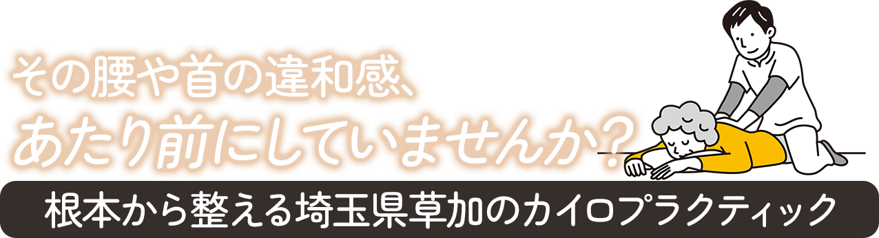 MVcatch